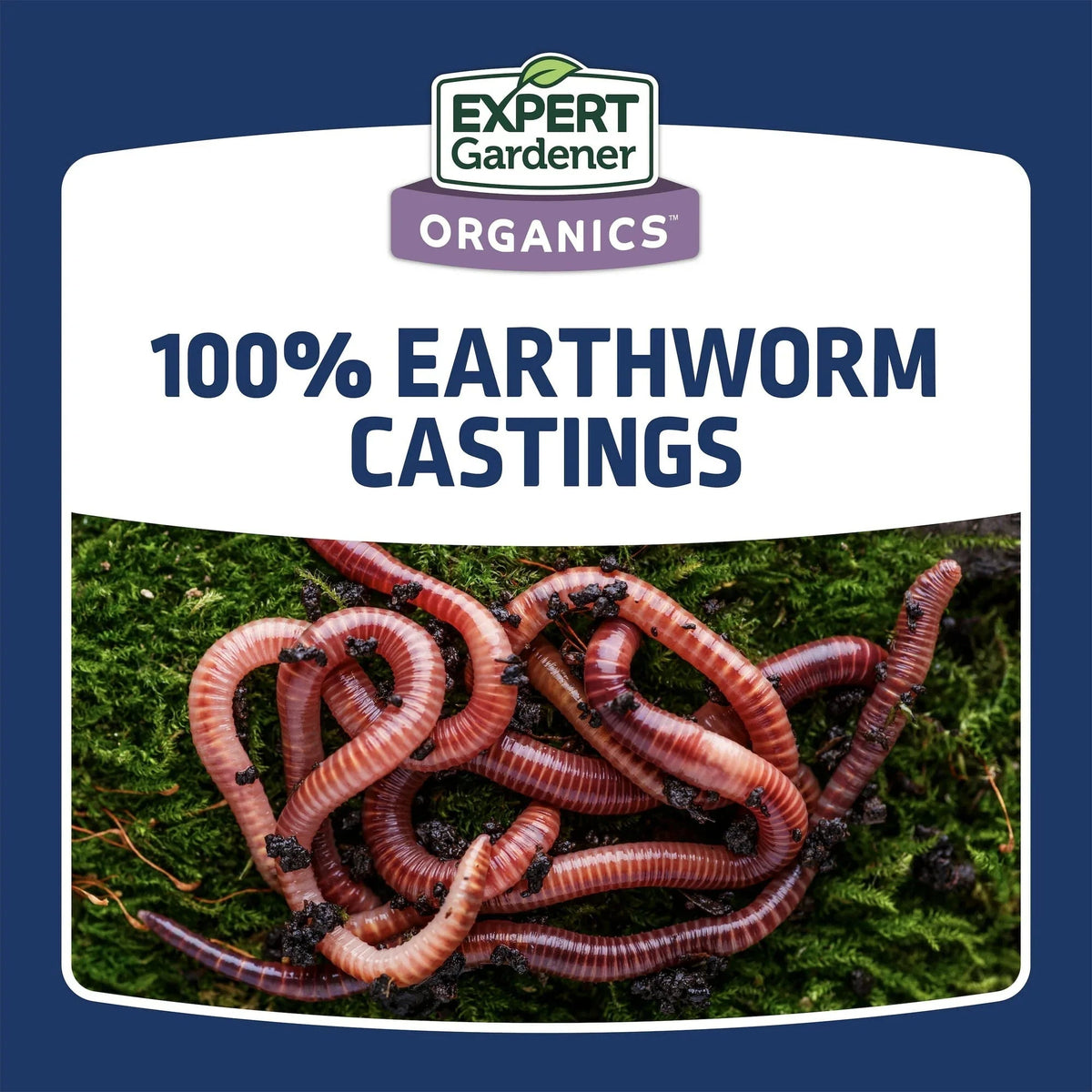 Expert Gardener Earth Worm Castings