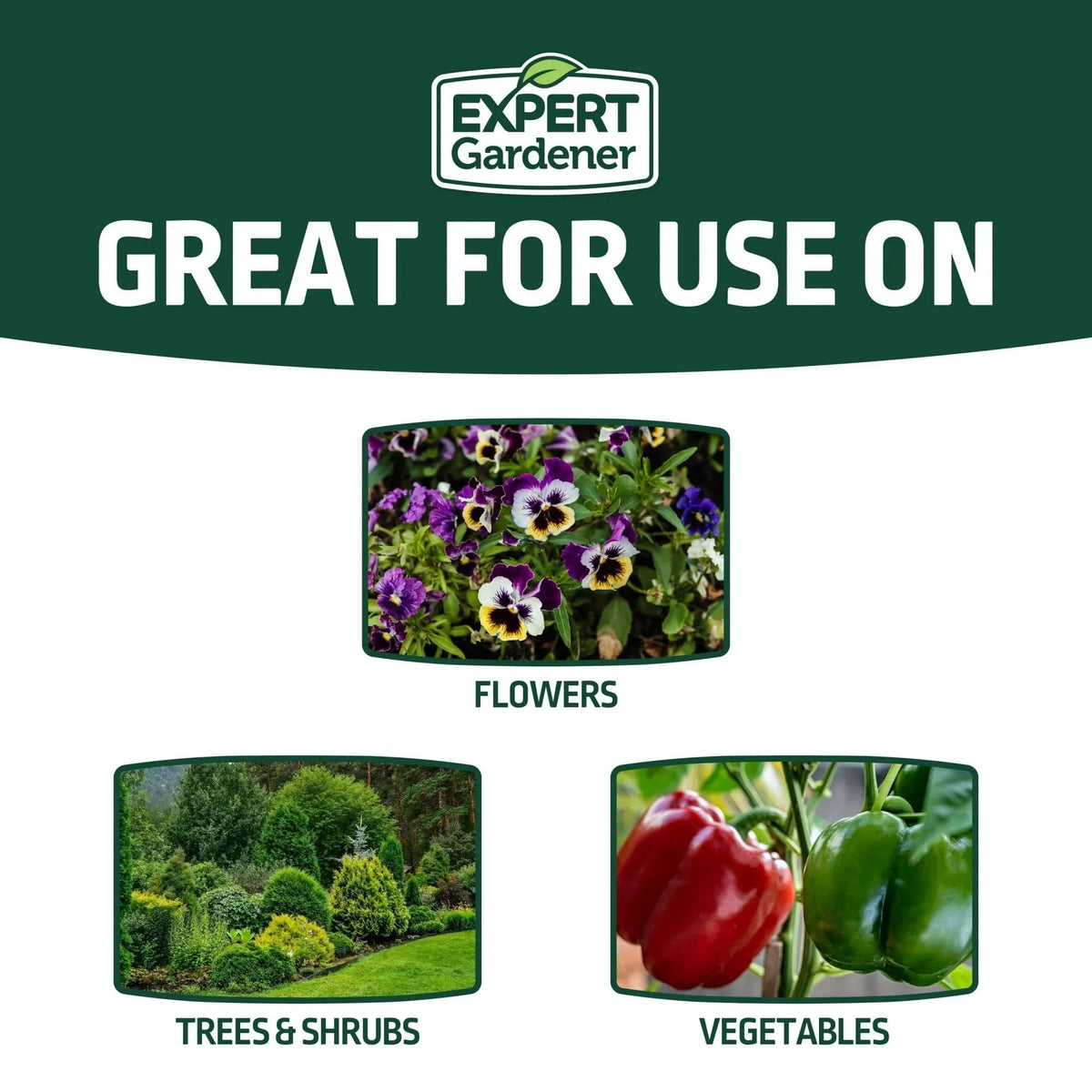 Expert Gardener All Purpose Plant Fertilizer, 10-10-10 Fertilizer