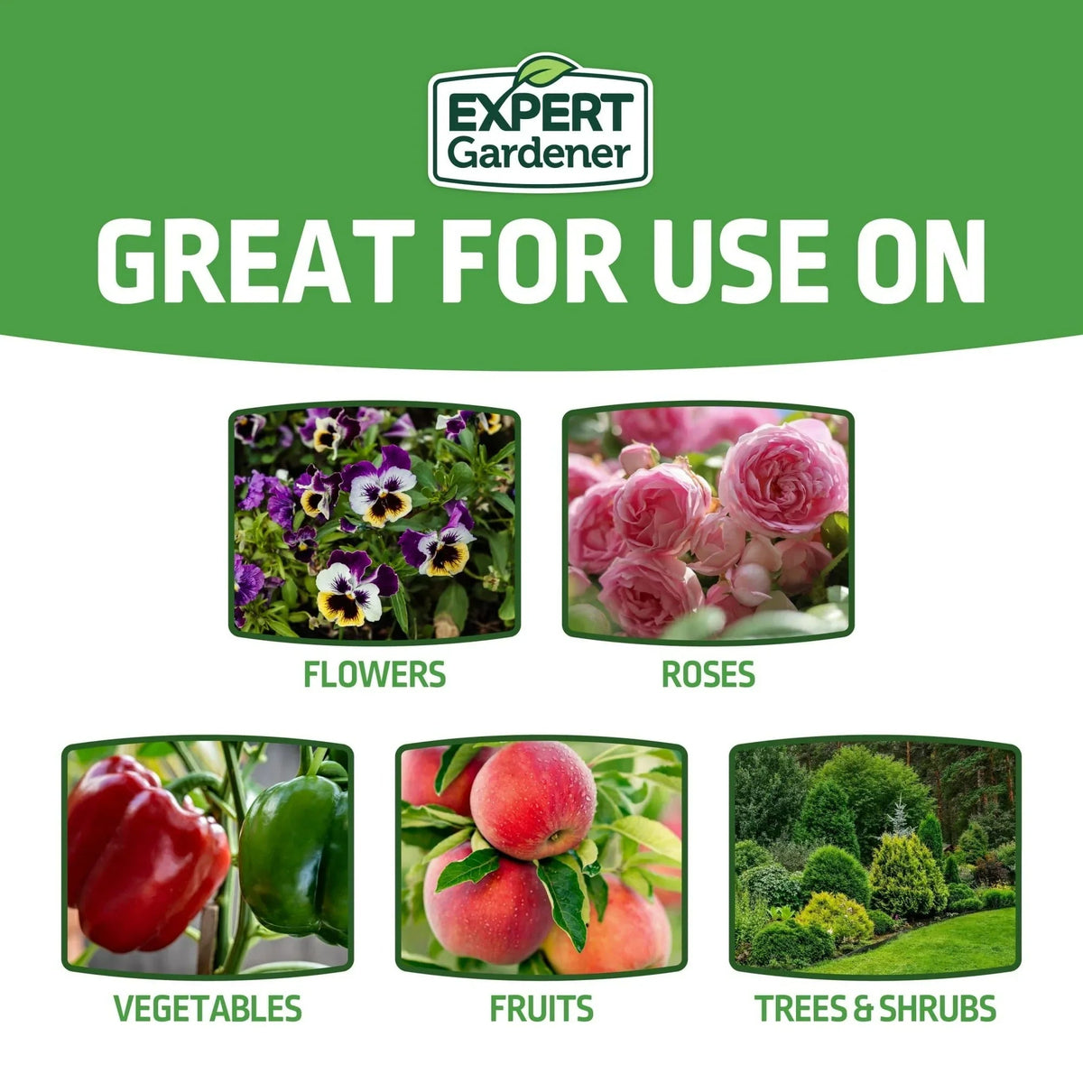Expert Gardener All-Purpose Plant Food Fertilizer 12-5-7
