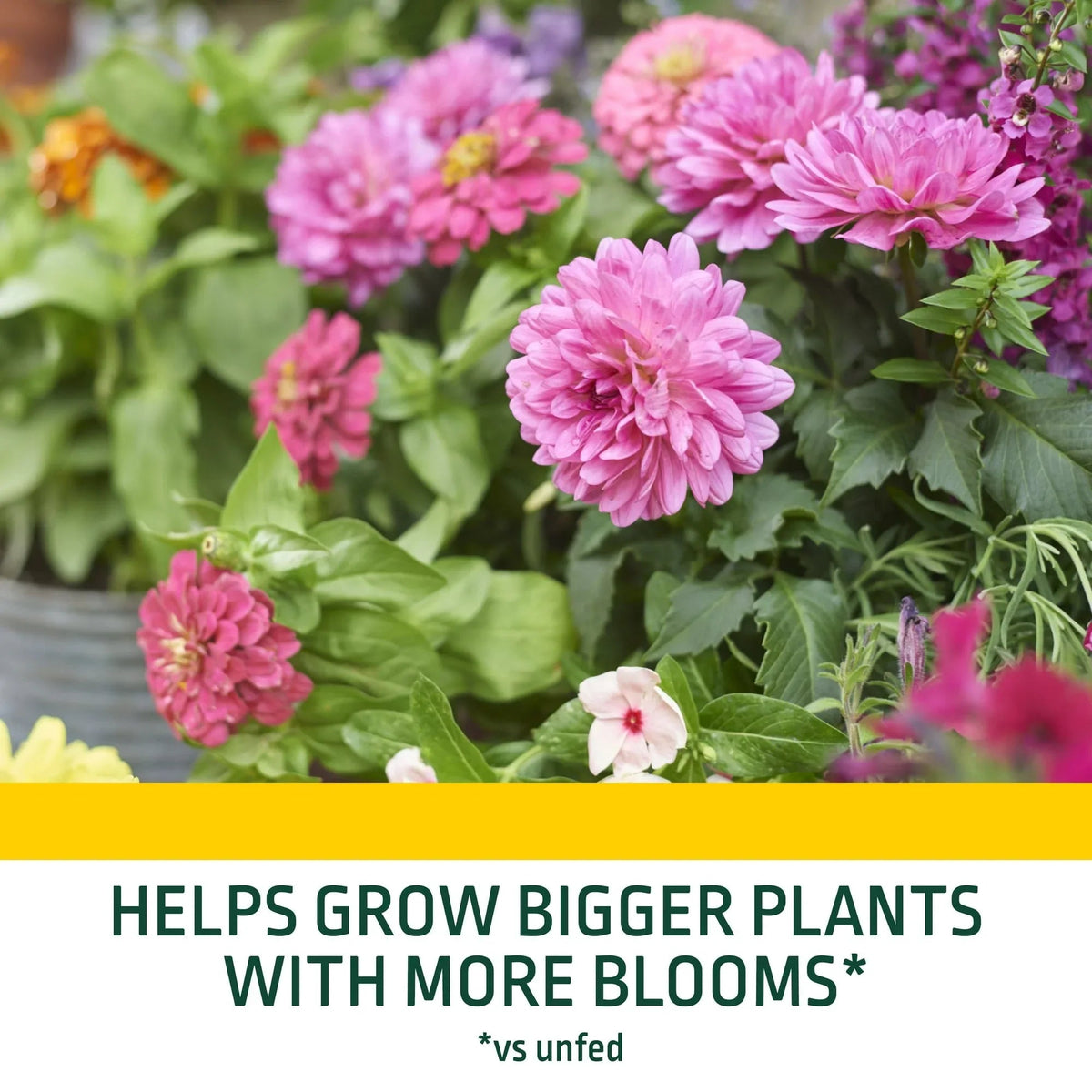 Expert Gardener Potting Mix for Potted Plants, Indoor and Outdoor Soil