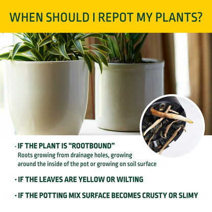 Expert Gardener Potting Mix for Potted Plants, Indoor and Outdoor Soil