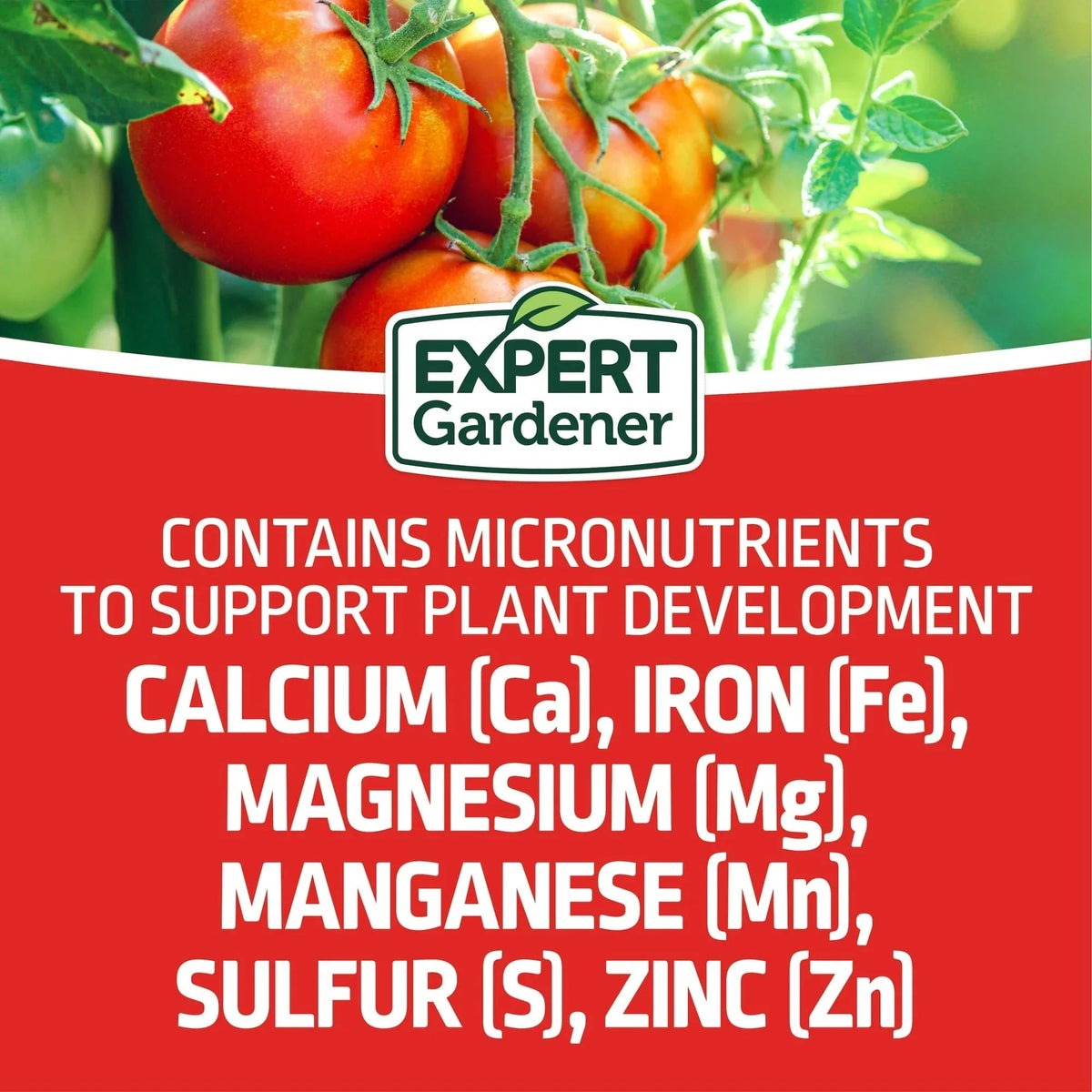 Expert Gardener Tomato & Vegetable Garden Plant Food Fertilizer, 12-10-5 Fertilizer