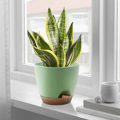 FOUKUS Set of 5 Self-Watering Plant Pots with Drainage – Eco-Friendly Plastic Planters for Indoor & Outdoor Use – Pots for Succulents, Cactus, Snake Plants (7", 6.5", 6", 5.5", 5")