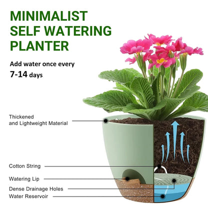 FOUKUS Set of 5 Self-Watering Plant Pots with Drainage – Eco-Friendly Plastic Planters for Indoor & Outdoor Use – Pots for Succulents, Cactus, Snake Plants (7", 6.5", 6", 5.5", 5")