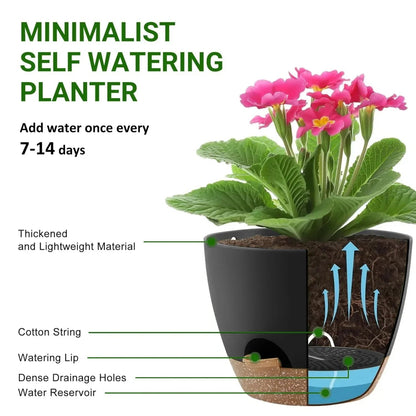 FOUKUS Set of 5 Self-Watering Plant Pots with Drainage – Eco-Friendly Plastic Planters for Indoor & Outdoor Use – Pots for Succulents, Cactus, Snake Plants (7", 6.5", 6", 5.5", 5")