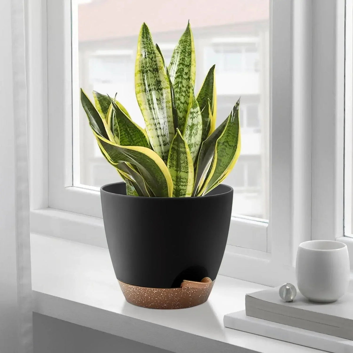 FOUKUS Set of 5 Self-Watering Plant Pots with Drainage – Eco-Friendly Plastic Planters for Indoor & Outdoor Use – Pots for Succulents, Cactus, Snake Plants (7", 6.5", 6", 5.5", 5")