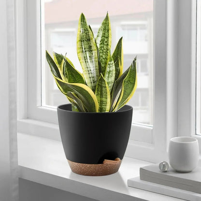 FOUKUS Set of 5 Self-Watering Plant Pots with Drainage – Eco-Friendly Plastic Planters for Indoor & Outdoor Use – Pots for Succulents, Cactus, Snake Plants (7", 6.5", 6", 5.5", 5")