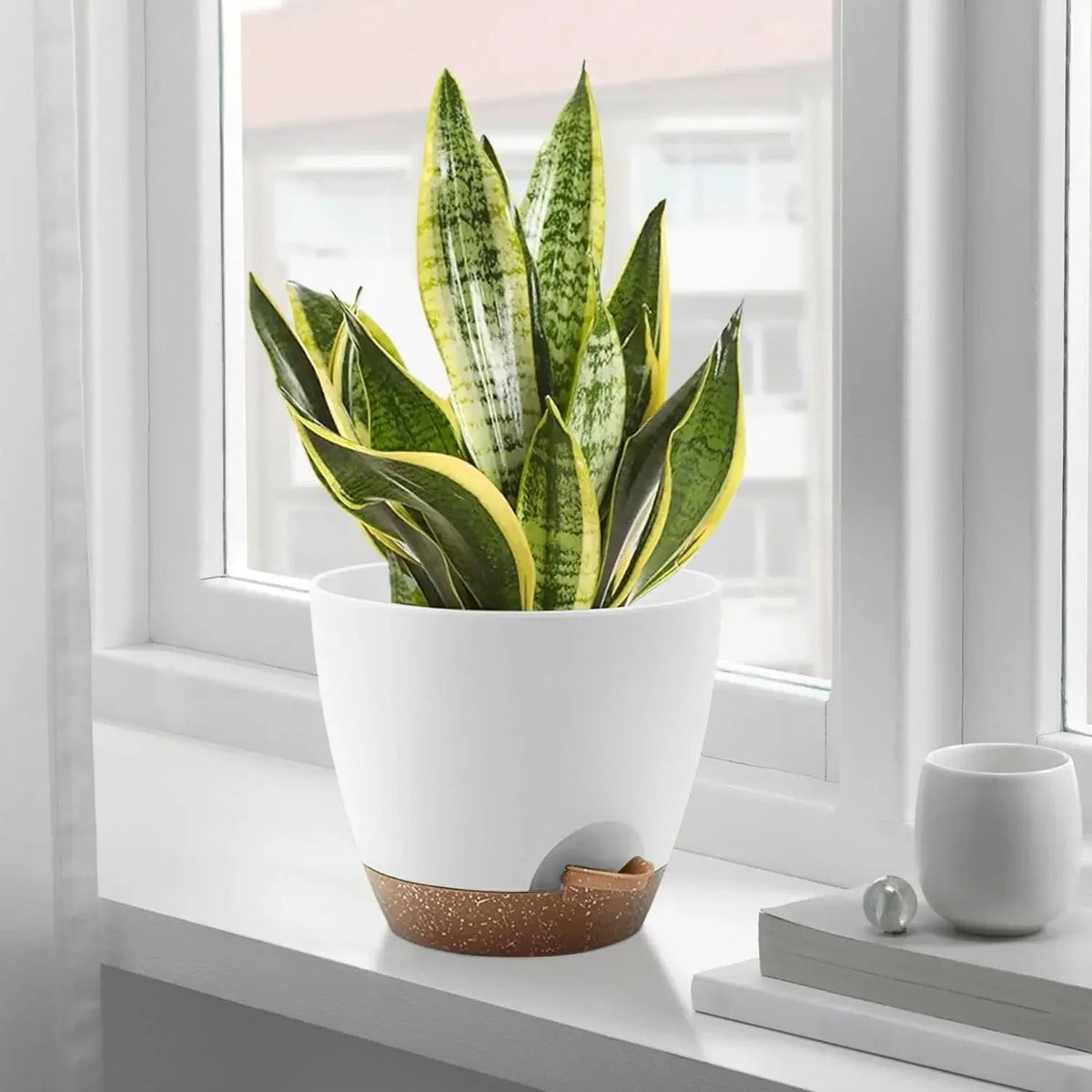 FOUKUS Set of 5 Self-Watering Plant Pots with Drainage – Eco-Friendly Plastic Planters for Indoor & Outdoor Use – Pots for Succulents, Cactus, Snake Plants (7", 6.5", 6", 5.5", 5")