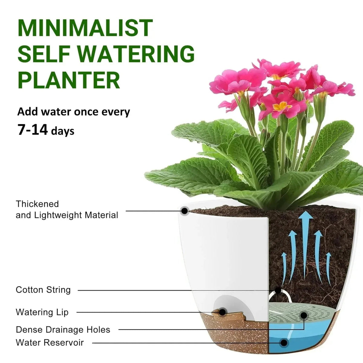 FOUKUS Set of 5 Self-Watering Plant Pots with Drainage – Eco-Friendly Plastic Planters for Indoor & Outdoor Use – Pots for Succulents, Cactus, Snake Plants (7", 6.5", 6", 5.5", 5")