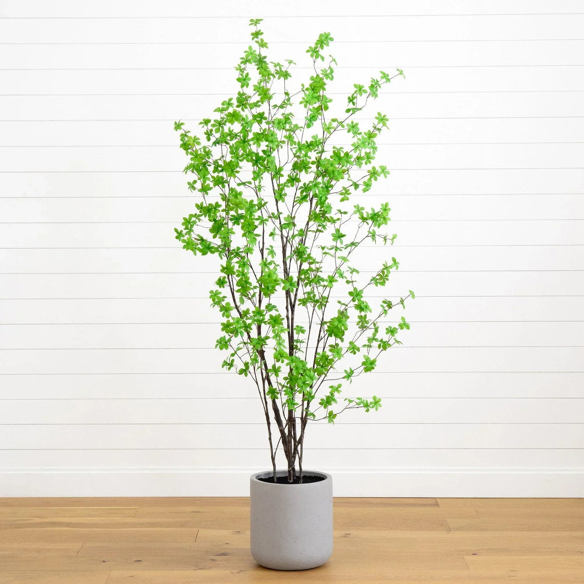 Faux 7’ Enkianthus Tree