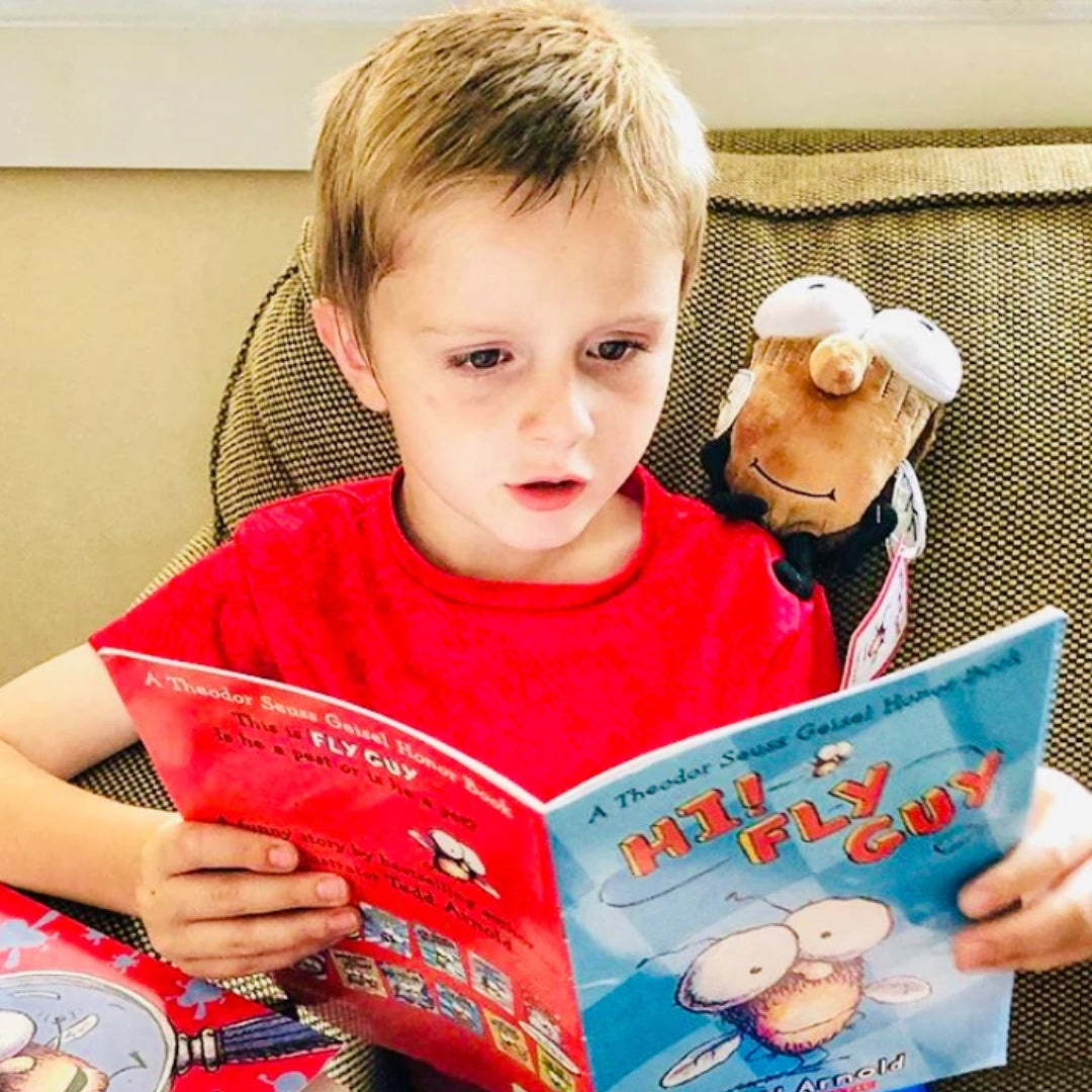 Fly Guy 8" Plush & Hardcover Book Set