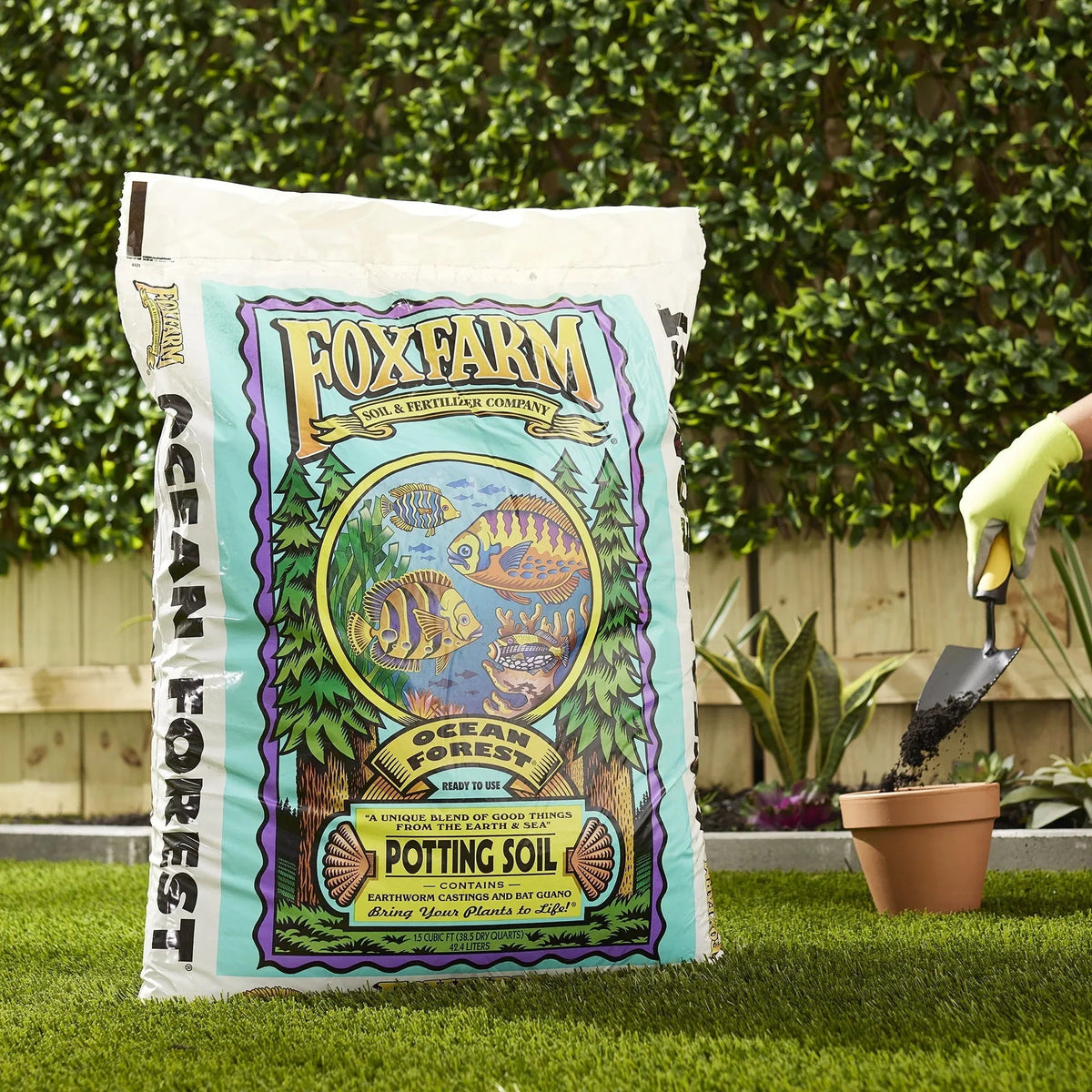FoxFarm (FX14053) Ocean Forest Organic Potting Soil, 12-Quart (Pack of 1)