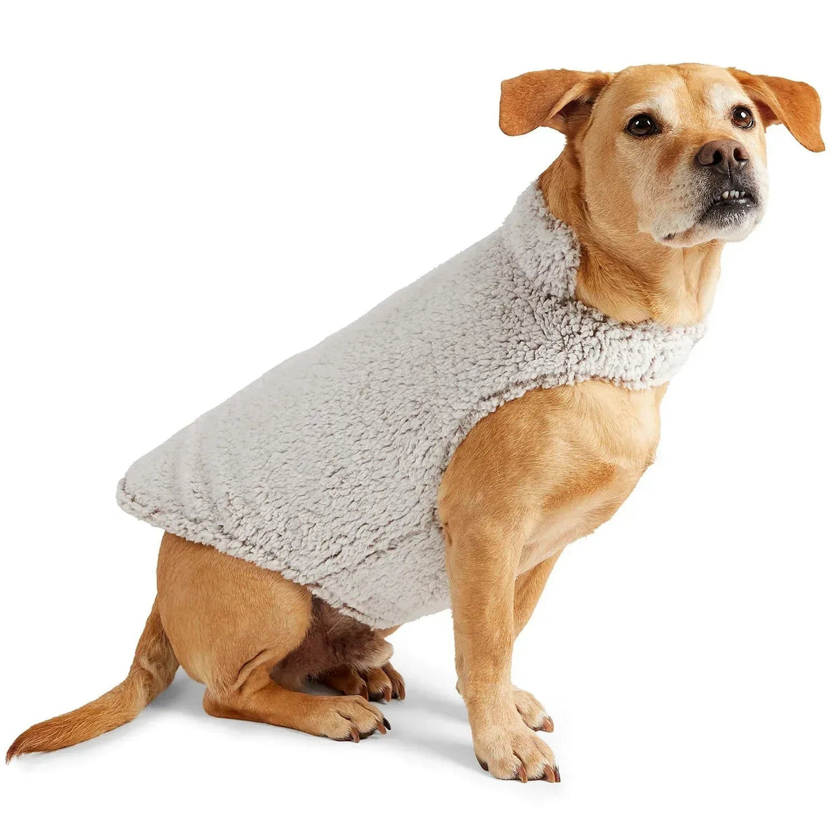 Free Country Sherpa Dog Coat