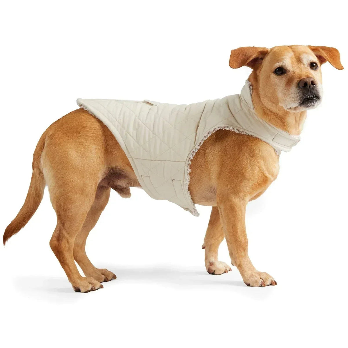 Free Country Sherpa Dog Coat