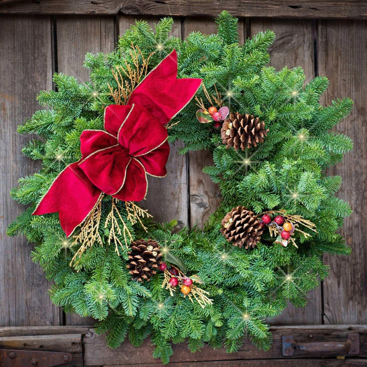 Fresh Cranberry Splash Lighted LED Wreath