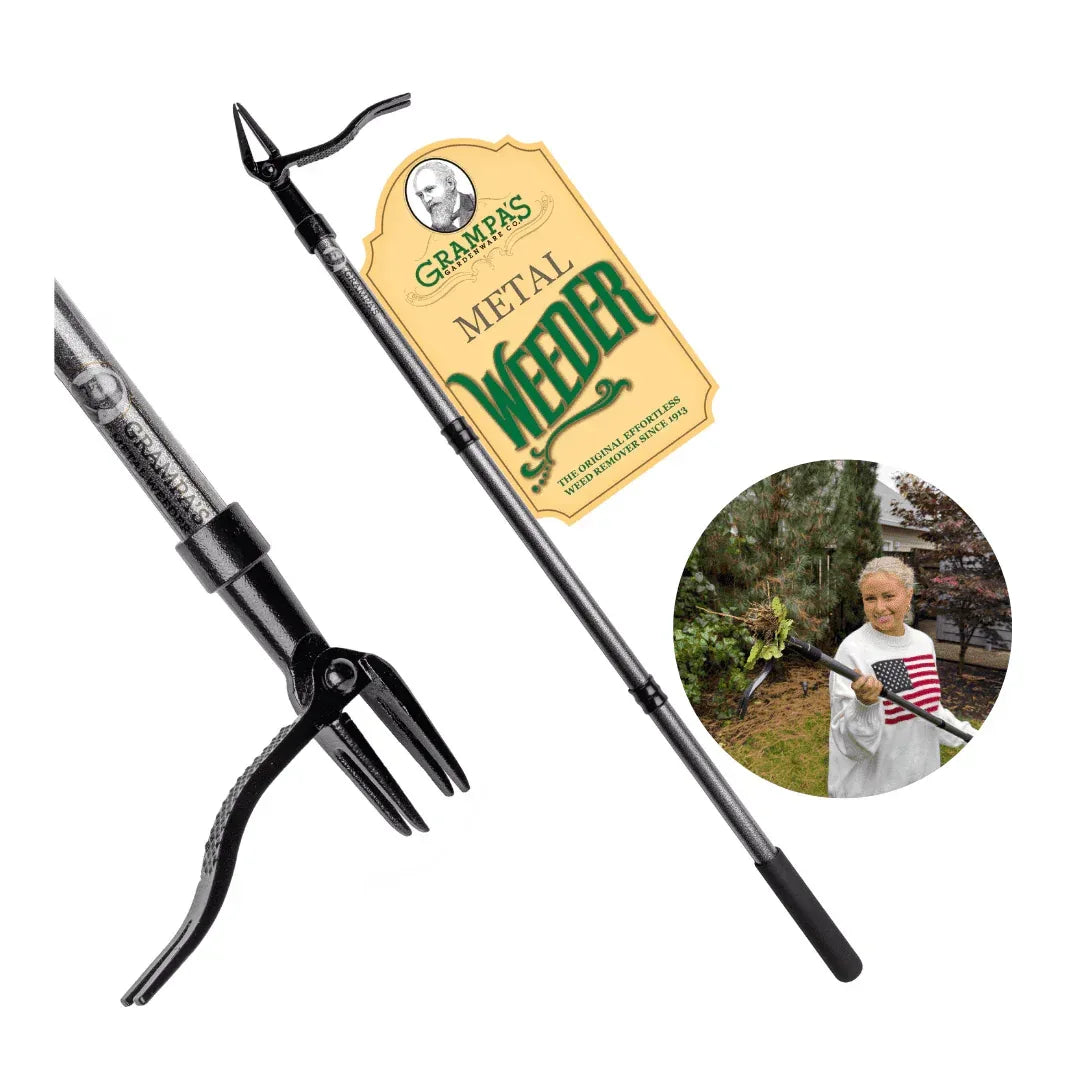 Grampa's Weeder - The Original Stand Up Weed Puller Tool With Long Handle - Made With 4-Claw Steel Head Design - Easily Remove Weeds Without Bending, Pulling, or Kneeling