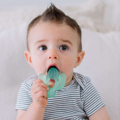 Itzy Ritzy Water-Filled Coordinating Cactus Water Teethers, Set of 3 Green Cacti