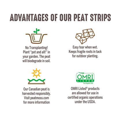 Jiffy-Strips Biodegradable Seed Starting Peat Strip (50 Pots), Has Drainage