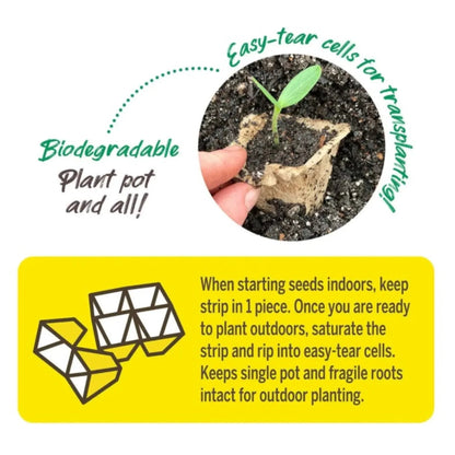 Jiffy-Strips Biodegradable Seed Starting Peat Strip (50 Pots), Has Drainage