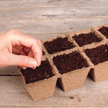 Jiffy-Strips Biodegradable Seed Starting Peat Strip (50 Pots), Has Drainage