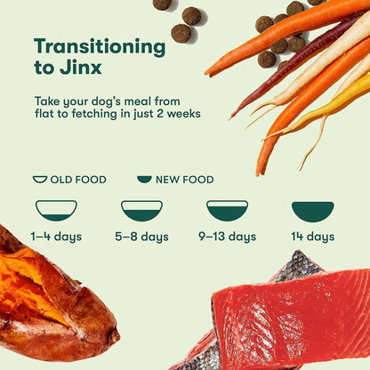 Jinx Salmon, Sweet Potato & Carrot Recipe, Grain Free Dry Dog Food, 23.5 lbs.