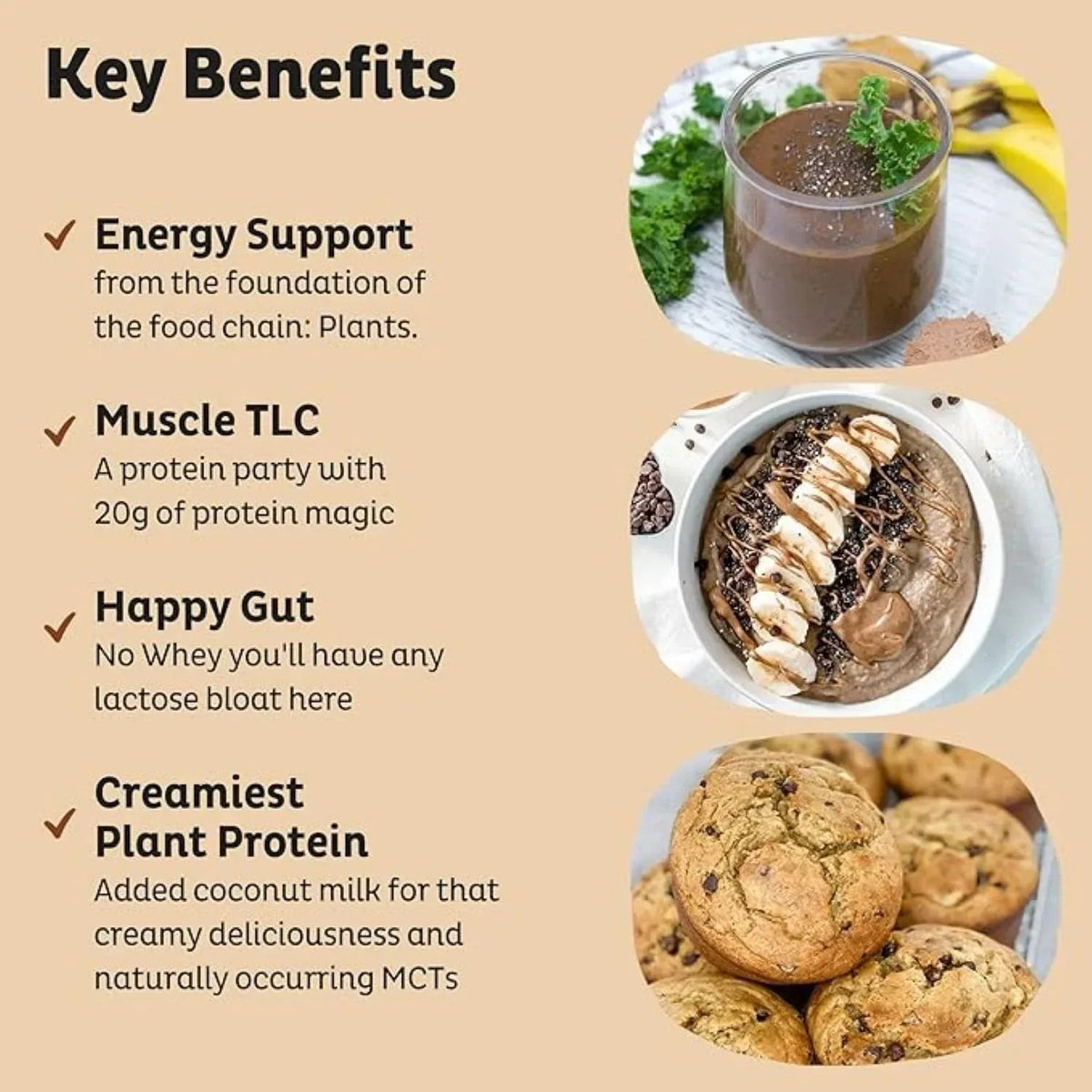 KOS Organic Superfood Plant Chocolate Peanut Butter Protein Powder 2.4lbs.
