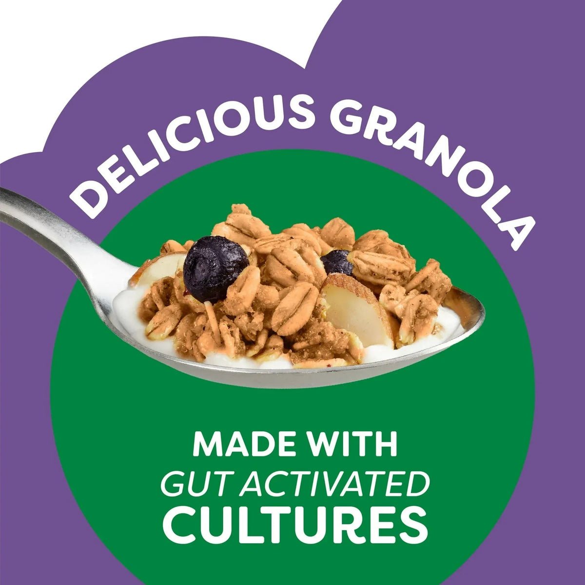 Kashi Gut Health Blueberry Almond Granola, Prebiotics and High Fiber, Whole Grain, 8 oz
