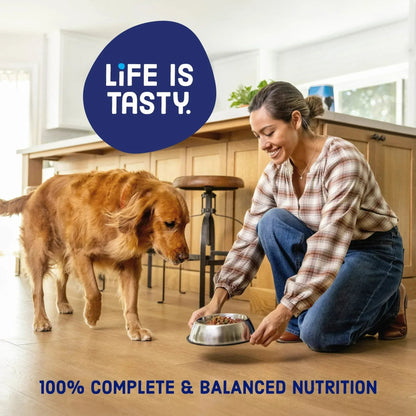 Kibbles 'n Bits Triple Steak Flavor Dry High Protein Dog Food