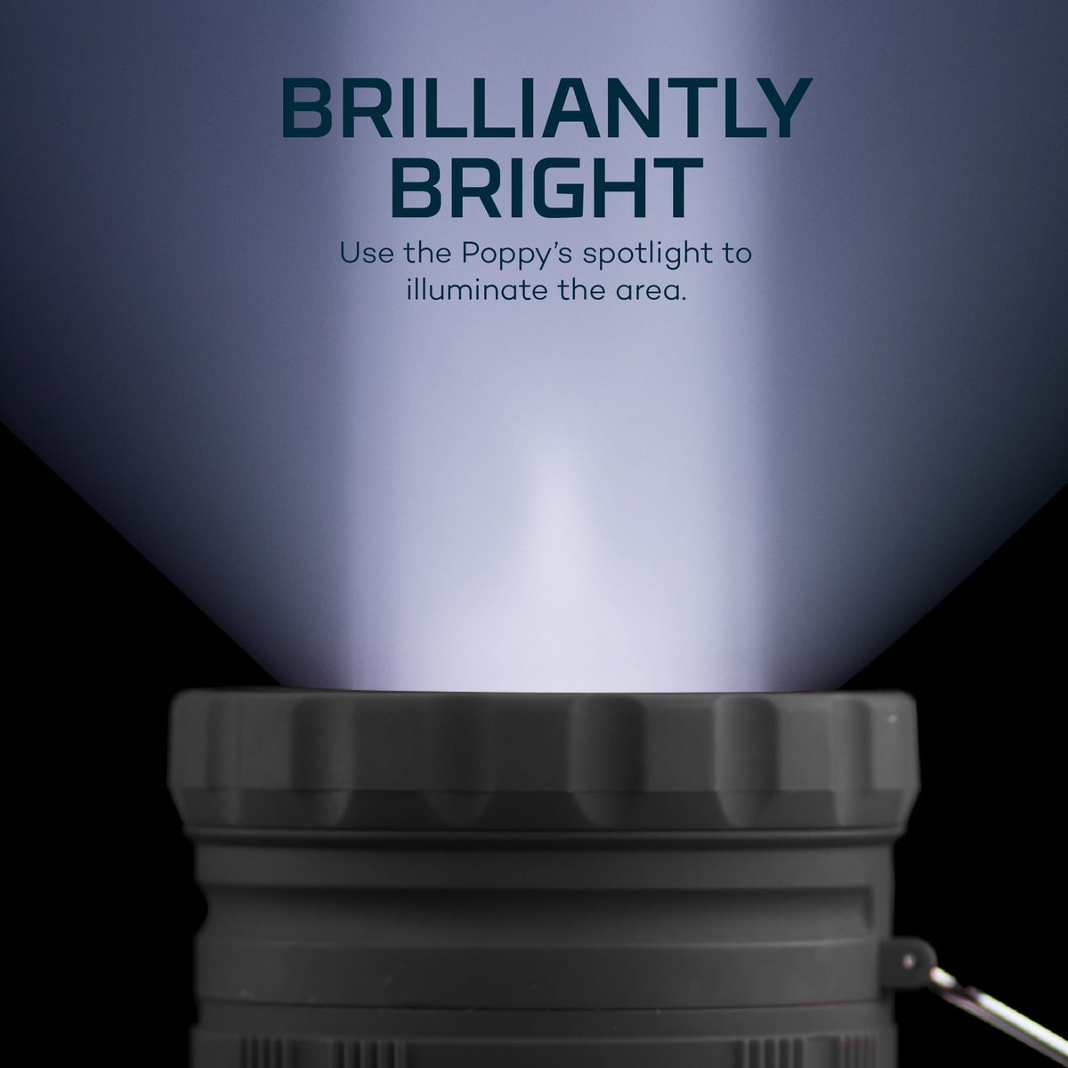 NEBO Poppy 300 Lumen Gray Lantern and 150 Lumen Spotlight, Battery Operated