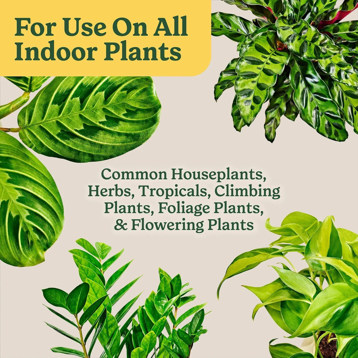 Miracle-Gro Indoor Potting Mix for All Plants, Use with Houseplants and More