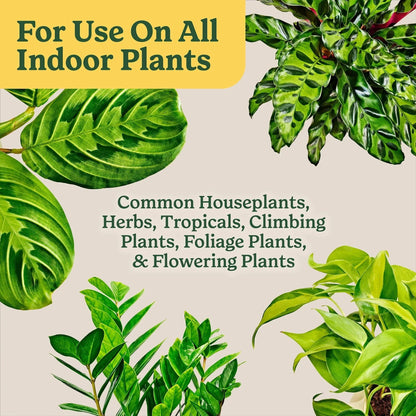 Miracle-Gro Indoor Potting Mix for All Plants, Use with Houseplants and More