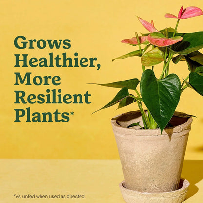 Miracle-Gro Indoor Potting Mix for All Plants, Use with Houseplants and More
