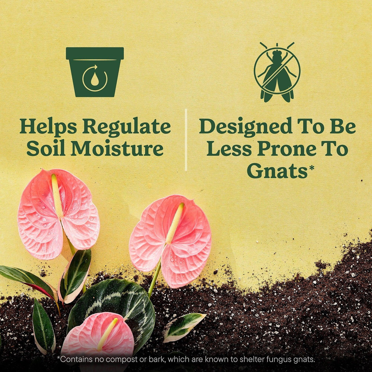 Miracle-Gro Indoor Potting Mix for All Plants, Use with Houseplants and More