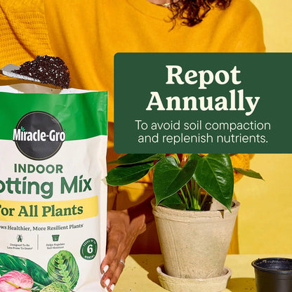 Miracle-Gro Indoor Potting Mix for All Plants, Use with Houseplants and More