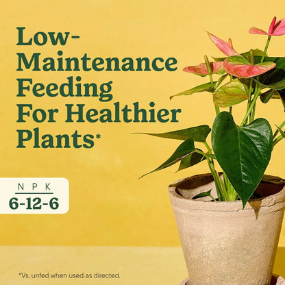 Miracle-Gro Indoor Plant Food Spikes for All Plants, For Houseplants and More, 48 spikes