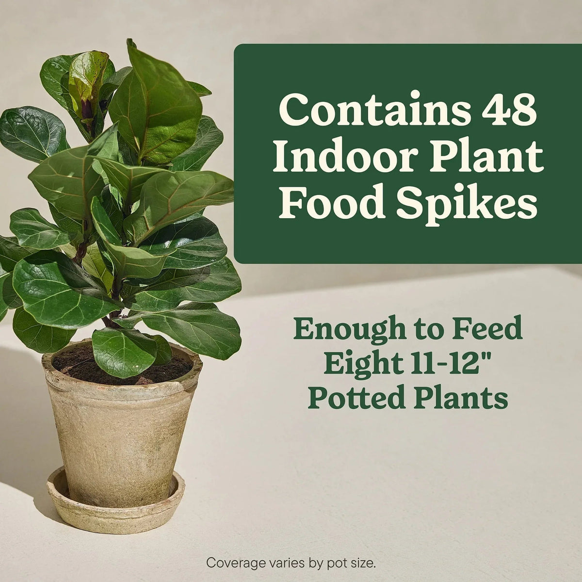 Miracle-Gro Indoor Plant Food Spikes for All Plants, For Houseplants and More, 48 spikes