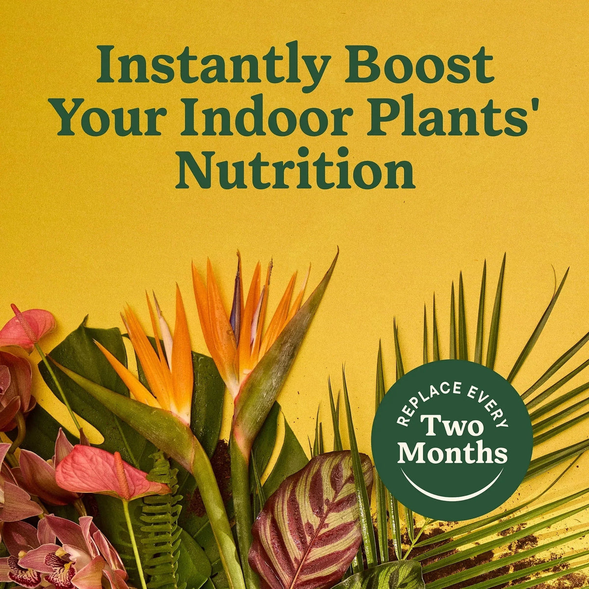 Miracle-Gro Indoor Plant Food Spikes for All Plants, For Houseplants and More, 48 spikes