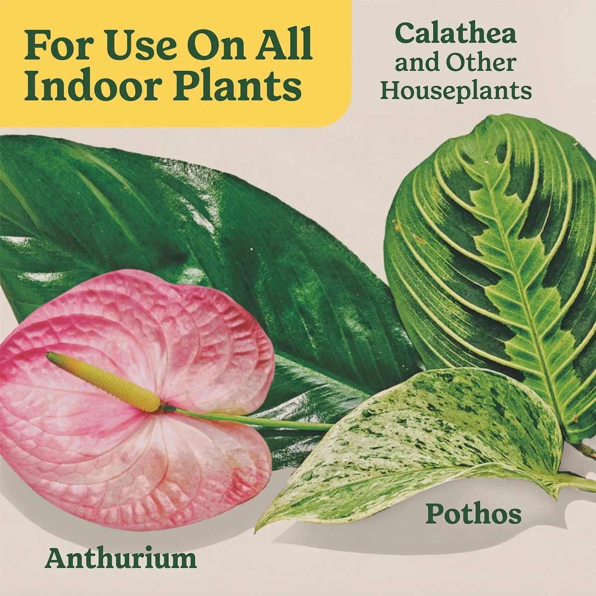 Miracle-Gro Indoor Plant Food Spikes for All Plants, For Houseplants and More, 48 spikes