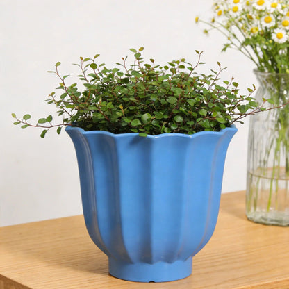 Mainstays Lillian Round Blue Paradise 100% Recycled Resin Planter