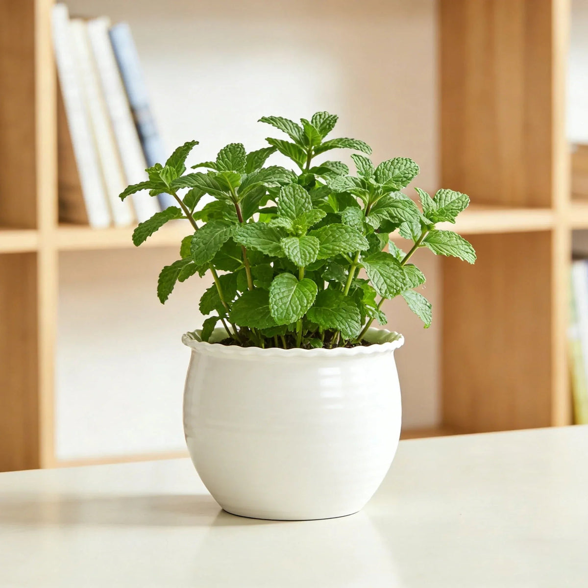 Mainstays Brooke Round Vanilla Dream 100% Recycled Resin Planter