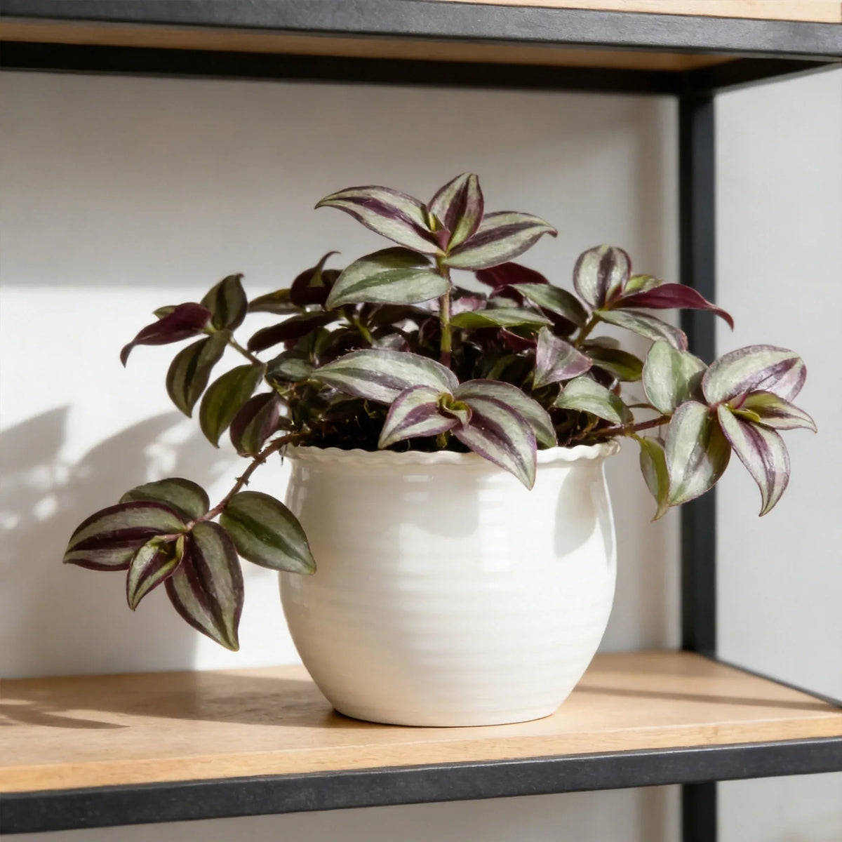 Mainstays Brooke Round Vanilla Dream 100% Recycled Resin Planter