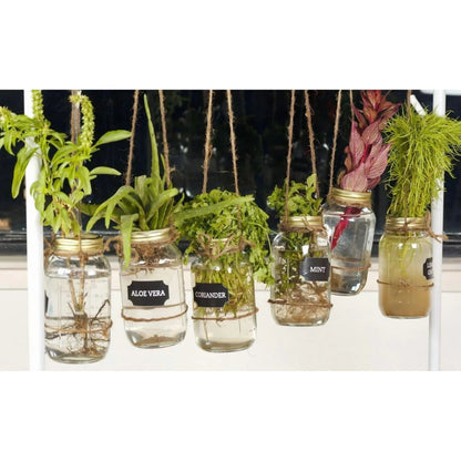 Mainstays Mason Jars, Regular Mouth Half Pint Canning Jars with Lids and Rings, 12-Pack Small Glass Jars for Home Canning and Preserving