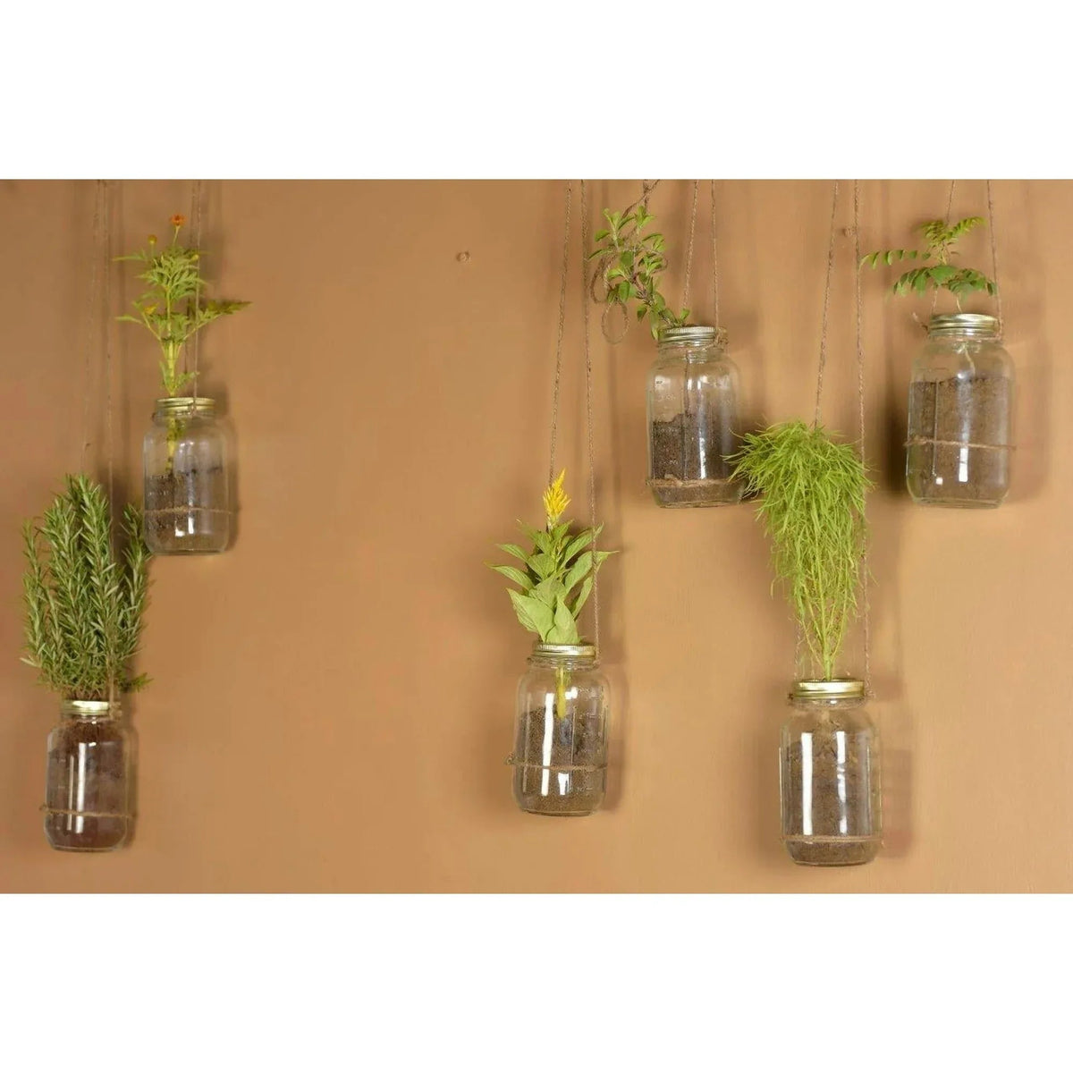 Mainstays Mason Jars, Regular Mouth Half Pint Canning Jars with Lids and Rings, 12-Pack Small Glass Jars for Home Canning and Preserving