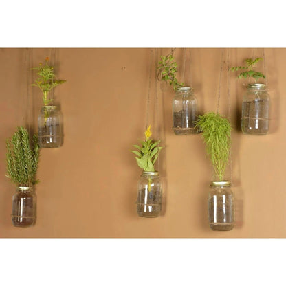 Mainstays Mason Jars, Regular Mouth Half Pint Canning Jars with Lids and Rings, 12-Pack Small Glass Jars for Home Canning and Preserving