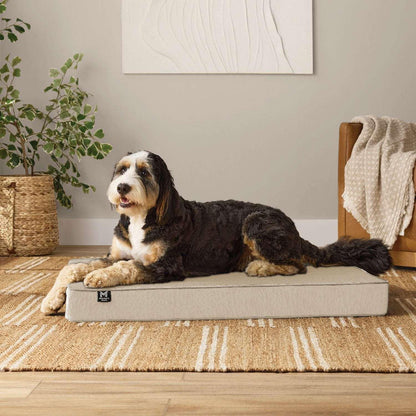 Member's Mark Lounger Pet Bed, 30"x40", Choose Color