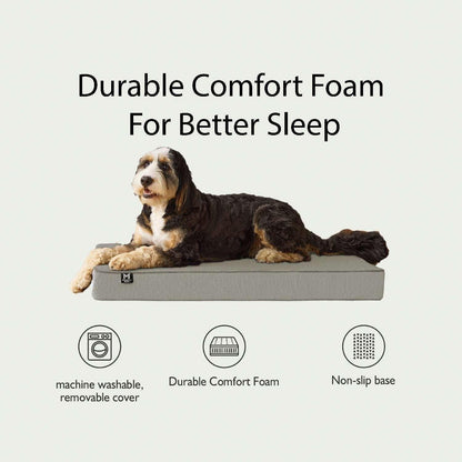Member's Mark Lounger Pet Bed, 30"x40", Choose Color