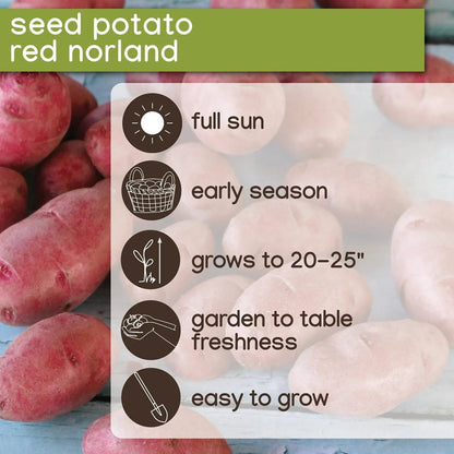 Member's Mark Seed Potatoes, 24pk
