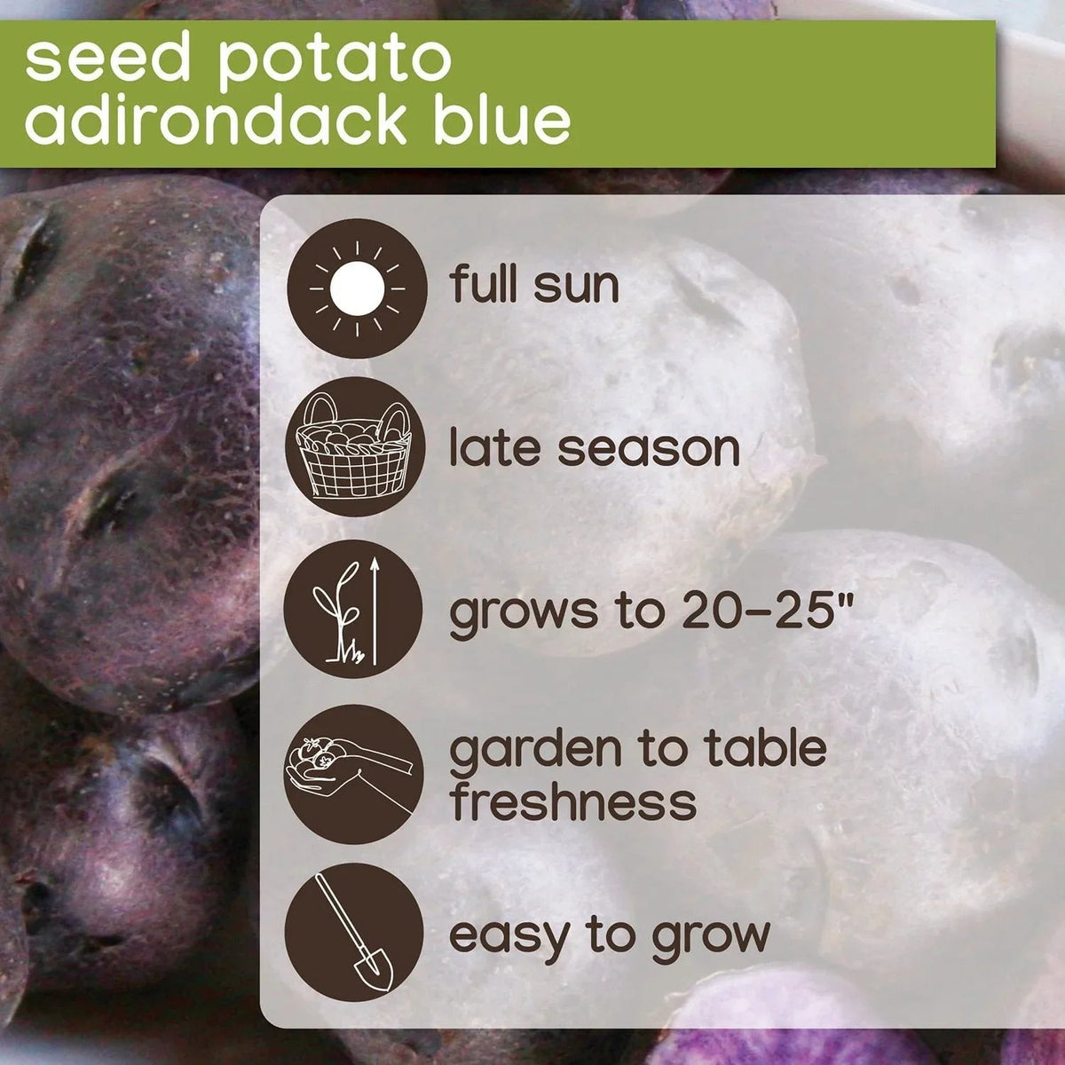 Member's Mark Seed Potatoes, 24pk
