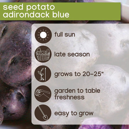 Member's Mark Seed Potatoes, 24pk