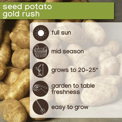 Member's Mark Seed Potatoes, 24pk